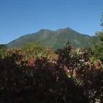 Apartmán U Merulu - Meuble De Tourisme 3 Etoiles San-Nicolao