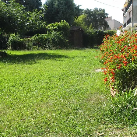 U Merulu - Meuble De Tourisme 3 Etoiles San-Nicolao